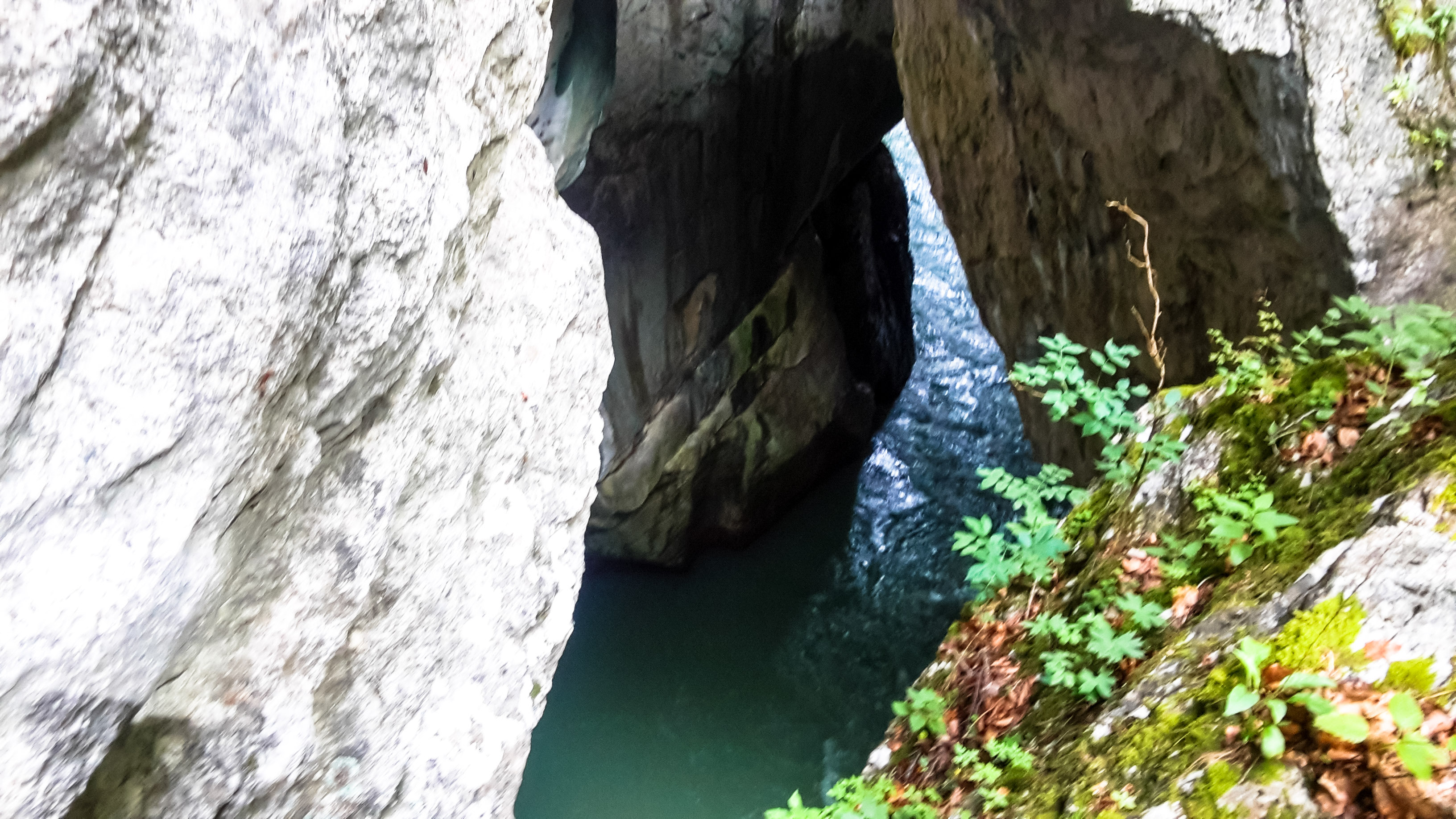 Salzachöfen, le gole sul Salzach