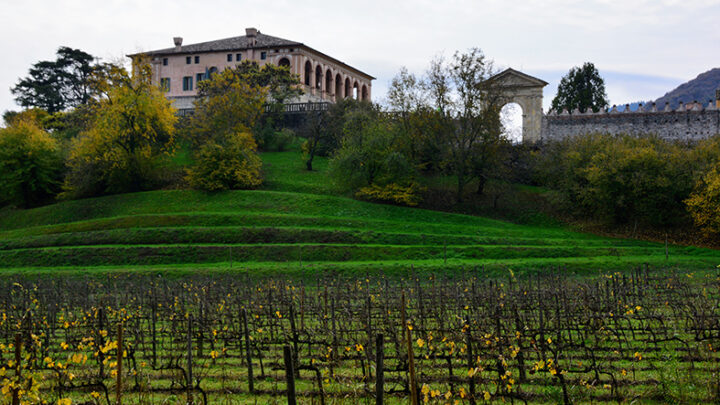 Villa dei Vescovi