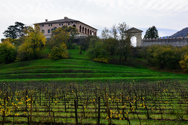 Villa dei Vescovi