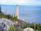 Da Porto Badisco al faro della Palascia