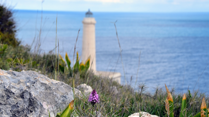 Da Porto Badisco al faro della Palascia