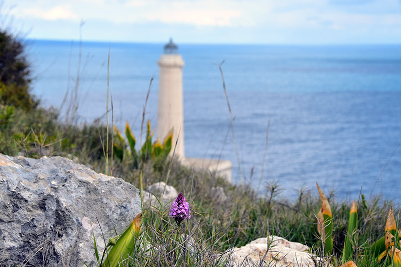 Da Porto Badisco al faro della Palascia