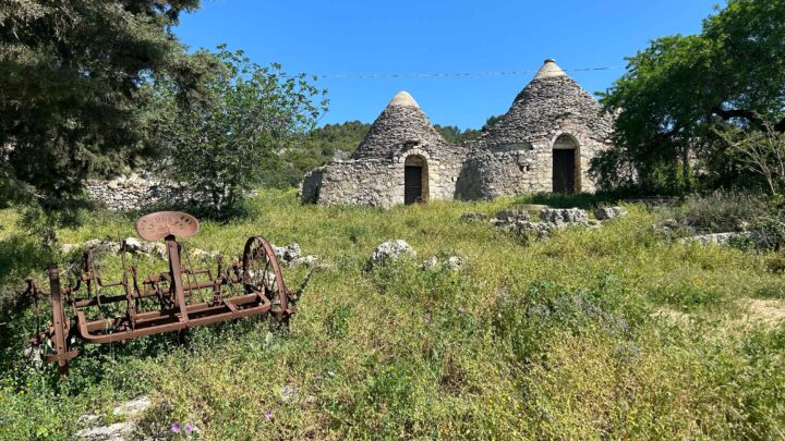 Monte sant’Elia e Bosco di sant’Antuono