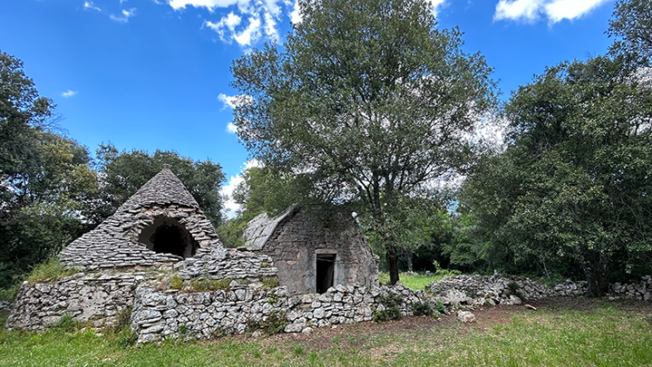 Bosco delle Pianelle